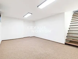 Pronájem rodinného domu, Praha - Dejvice, Fragnerova, 265 m2