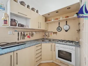 Prodej rodinného domu, Mladá Boleslav, Dvořákova, 240 m2