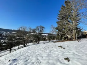 Prodej pozemku pro bydlení, Česká Třebová, 6000 m2