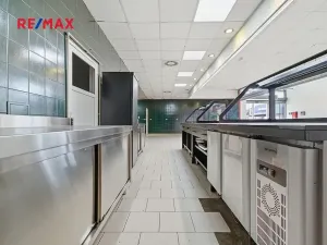 Pronájem obchodního prostoru, Plzeň, 181 m2
