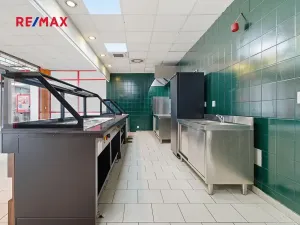 Pronájem obchodního prostoru, Plzeň, 181 m2
