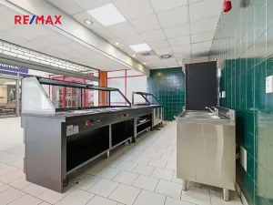 Pronájem obchodního prostoru, Plzeň, 181 m2