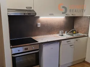 Pronájem bytu 1+kk, Šakvice, Hlavní, 32 m2
