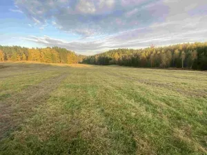 Dražba louky, Cvikov, 7470 m2