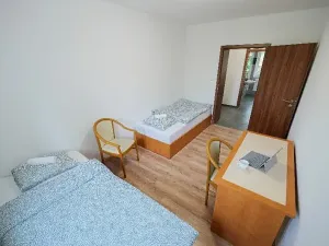 Pronájem apartmánu, Ostrava, Riegrova, 300 m2