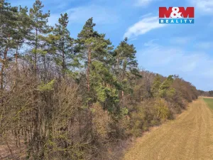 Prodej lesa, Slatiny, 6169 m2