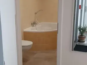 Pronájem bytu 1+kk, Břeclav, U Tržiště, 30 m2