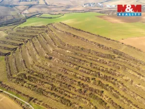 Prodej pole, Morkůvky, 2424 m2