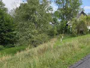 Prodej domu, Bystrá nad Jizerou, 130 m2