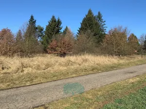 Prodej pozemku pro bydlení, Postupice, 1868 m2