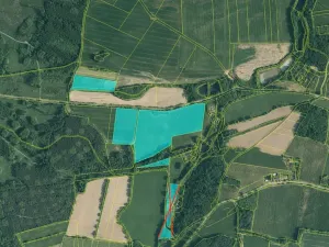 Prodej sadu/vinice, Chelčice, 88749 m2