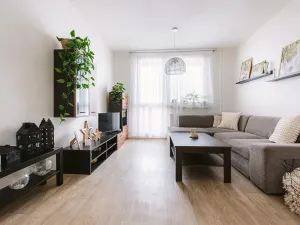 Prodej bytu 3+1, Kněžice, 62 m2