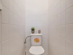 Pronájem bytu 2+1, Český Brod, Kounická, 50 m2