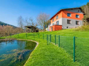 Prodej rodinného domu, Plavy, 336 m2