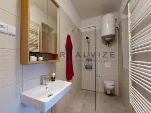 Pronájem bytu 2+kk, České Budějovice, J. Plachty, 50 m2