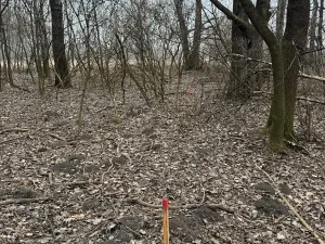 Prodej lesa, Veselí nad Moravou, 2272 m2