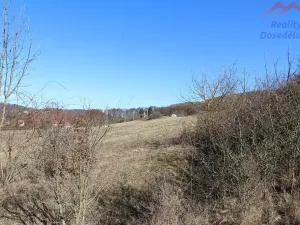 Prodej pozemku, Loděnice, 5981 m2