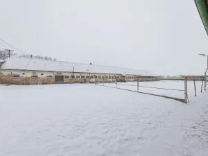 Prodej komerční, Rosice, 398 m2