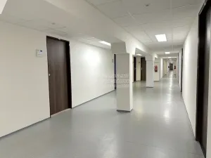 Pronájem kanceláře, Praha - Karlín, Thámova, 19 m2