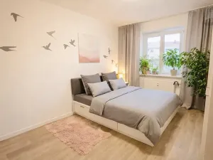 Pronájem bytu 2+1, Brno, Renneská třída, 56 m2