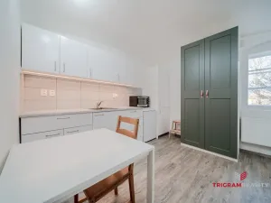 Pronájem bytu 1+kk, Hradec Králové, Dlouhá, 25 m2