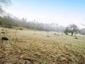 Prodej komerčního pozemku, Letovice, Nádražní, 3080 m2