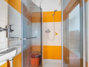 Prodej rodinného domu, Stružinec, 254 m2