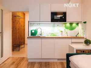 Prodej bytu 1+kk, Lipno nad Vltavou, 33 m2