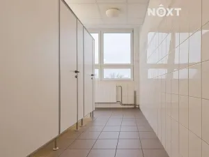 Pronájem kanceláře, České Budějovice, K. Světlé, 17 m2