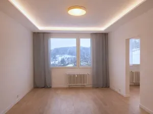 Pronájem bytu 3+1, Ústí nad Labem, Picassova, 67 m2