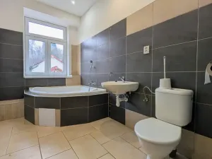 Pronájem bytu 1+kk, Peruc, U Koupaliště, 32 m2