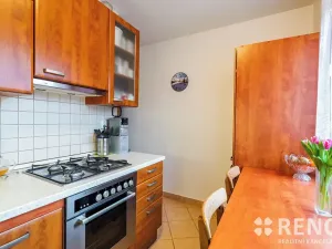 Prodej bytu 3+1, Brno, Krásného, 55 m2