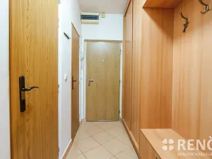 Prodej bytu 3+1, Brno, Krásného, 55 m2