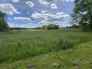 Dražba pozemku pro bydlení, Slavonice, 1281 m2