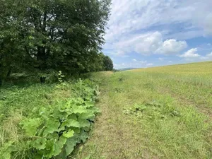 Dražba pozemku, Prusinovice, 2368 m2