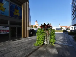 Pronájem obchodního prostoru, Strakonice, Bezděkovská, 111 m2