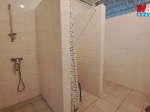 Prodej obchodního prostoru, Práče, 3212 m2