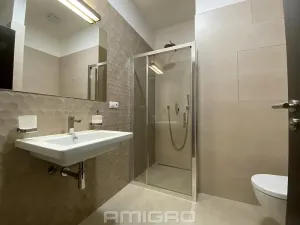 Pronájem bytu 1+kk, Brno, Šumavská, 43 m2