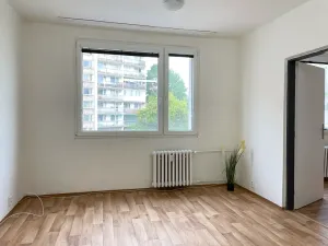 Pronájem bytu 1+1, Litvínov, Rooseveltova, 37 m2