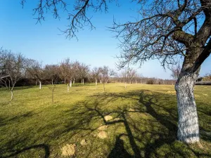 Prodej pozemku pro bydlení, Valtice, 3600 m2