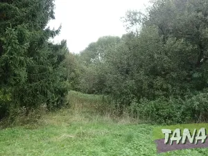 Prodej podílu pozemku pro bydlení, Mladějov, 382 m2