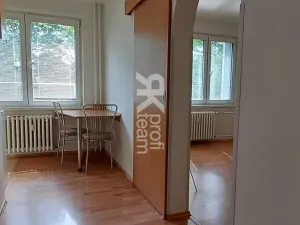 Pronájem bytu 1+1, Ostrava, Lužická, 39 m2