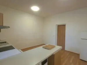Pronájem bytu 1+1, Olomouc, Mlčochova, 55 m2