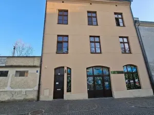 Pronájem bytu 1+1, Olomouc, Mlčochova, 55 m2