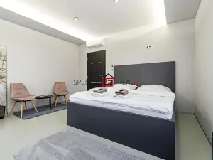 Prodej ubytování, Ostrava, 17. listopadu, 138 m2