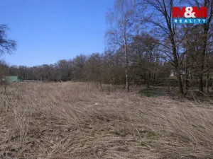 Prodej pozemku pro bydlení, Velemín, 5378 m2