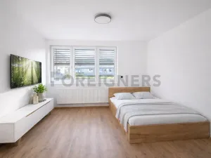Pronájem bytu 1+kk, Brno, Fryčajova, 30 m2