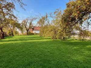 Prodej zahrady, Blížejov, K Potoku, 1450 m2