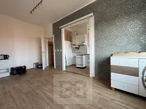 Pronájem bytu 2+1, Hodonín, Janáčkova, 57 m2