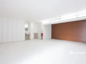 Prodej rodinného domu, Moravany, V Jámách, 382 m2